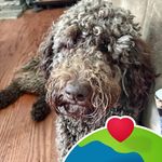 Candy Swain Spivey - @candy.s.spivey - Instagram