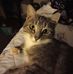 Candice Thurston - Facebook
