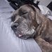 Candi Voss - Facebook