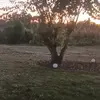 Candy voss - @candy.voss0 - TikTok