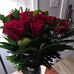 Candi Walker - Facebook