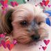 Candi Walker - Facebook
