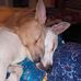 Candi Watson - Facebook