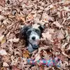 Candi Wengerd - @candi.wengerd - TikTok