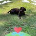 Candi Howard-west - Facebook