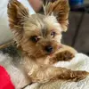 user3126477124814 - @candiwhited - TikTok
