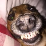 Candi Williams - @candi.williams.16940 - Instagram