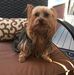 Candi Wright - Facebook