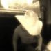 Candi Wright - Facebook