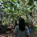 Candace Wyanet Ayagan - Facebook