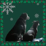 Candace Sue Akers - @akerscandy - Instagram