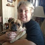 Candace E. Allred-Smith - @candaceallredsmith - Instagram