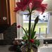 Candace Ames - Facebook