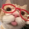 puchita! - @candiceandrea - TikTok
