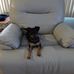 Candy Appleton - Facebook