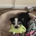 Candace Chandler Archer - Facebook