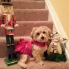 Candice Archer562 - @candicearcher773 - TikTok