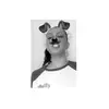 Candice Archer - @candicearcher - TikTok