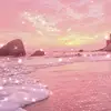 Candice.Barrera - @candicebarreravdmzyfg - TikTok