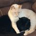 Candace Edenfield-Bateman - Facebook