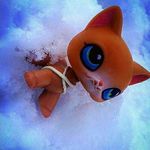 °•juste candice•° - @candice_baylea - Instagram