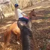 Candice's Critters - @candicebeals - TikTok