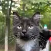 Candace Bean - @candace.bean1 - TikTok