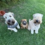 Candice Bennett - @august_hazel_and_darcy - Instagram