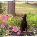 Candy Buckner - Facebook