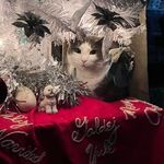 Candi Caputo-Fink - @candifink - Instagram