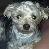 Candi Carnes - @scooter.clc - TikTok