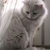 Candice Carpenter - Facebook