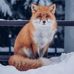 Candice Chan - Facebook