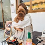Candice Chan - @candicechankm - Instagram