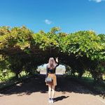 Candice Chung - @candicechung.925 - Instagram