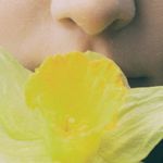 Candice Cohen - @candicecohenphotography - Instagram