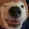 CandiceContreras - @candicecontrerasrdmyvdfd - TikTok