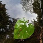 Candice Correa - @catalyzen - Instagram