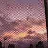 Candice Cox - @candice.cox6 - TikTok