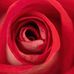 Candace Fahey - Facebook