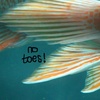 candice - @fishdonthavetoes - TikTok