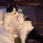 Candice Gavin Haffner - @candismarandis - Instagram