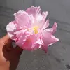 Candice George - @candice.george5 - TikTok