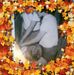 Candice Wright - Facebook