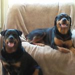 Candice Gillespie - @candiceg1968 - Instagram