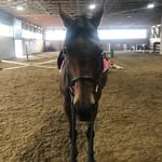 Candice - @candice_goodman_2000 - Instagram