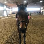 Candice - @candice_goodman_2000 - Instagram
