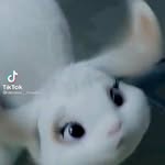 Candice Goodson - @_ef.ya_ - Instagram