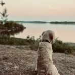 Candice Gordon - Facebook