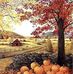Candace Graves - Facebook